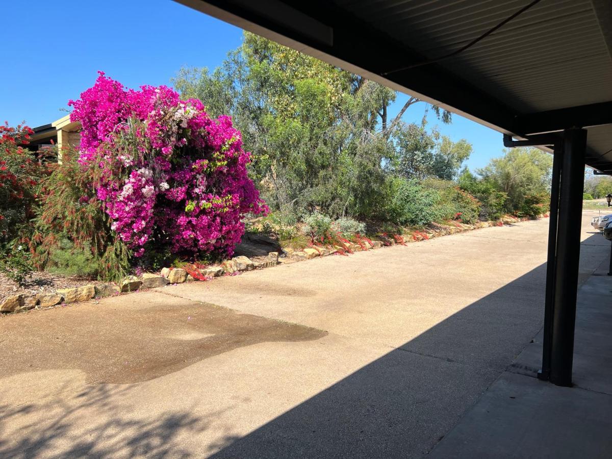 Albert Park Motor Inn-King Beds-Pool-Shaded Parking Longreach Exterior foto